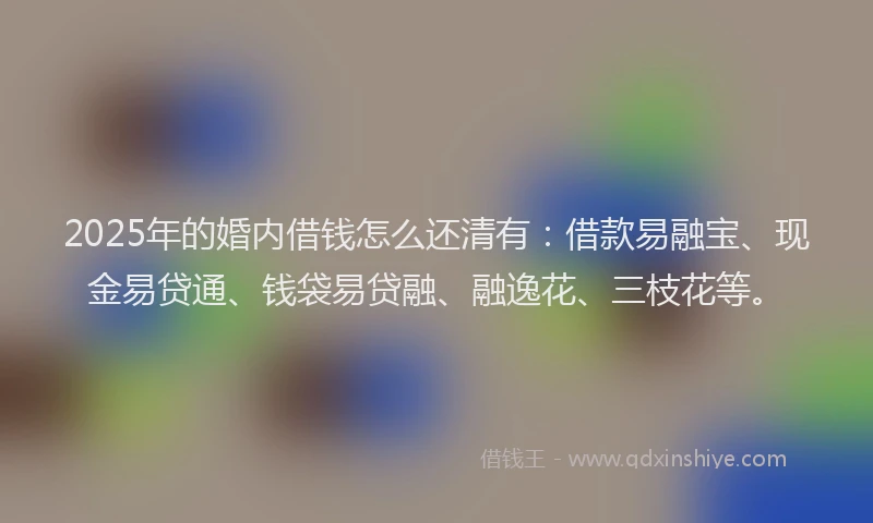 2025年的婚内借钱怎么还清有：借款易融宝、现金易贷通、钱袋易贷融、融逸花、三枝花等。