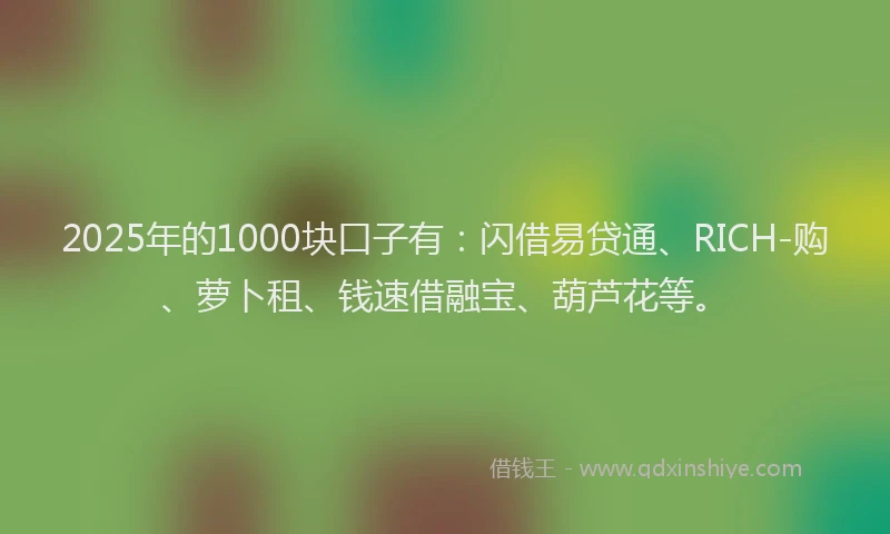 2025年的1000块口子有：闪借易贷通、RICH-购、萝卜租、钱速借融宝、葫芦花等。