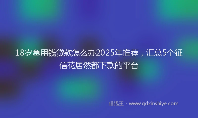 18岁急用钱贷款怎么办2025年推荐，汇总5个征信花居然都下款的平台