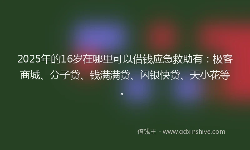 2025年的16岁在哪里可以借钱应急救助有：极客商城、分子贷、钱满满贷、闪银快贷、天小花等。