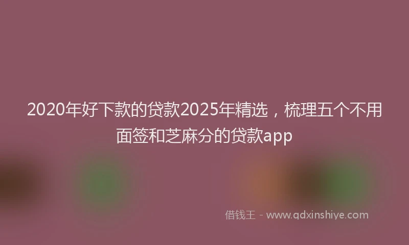 2020年好下款的贷款2025年精选，梳理五个不用面签和芝麻分的贷款app