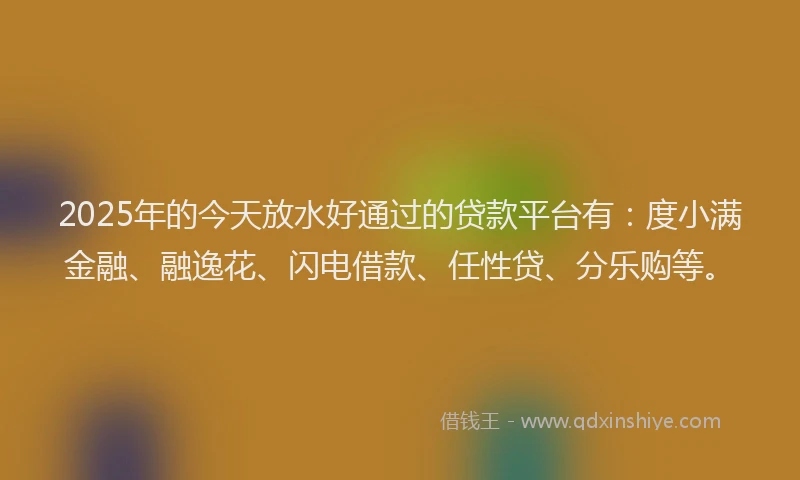 2025年的今天放水好通过的贷款平台有：度小满金融、融逸花、闪电借款、任性贷、分乐购等。