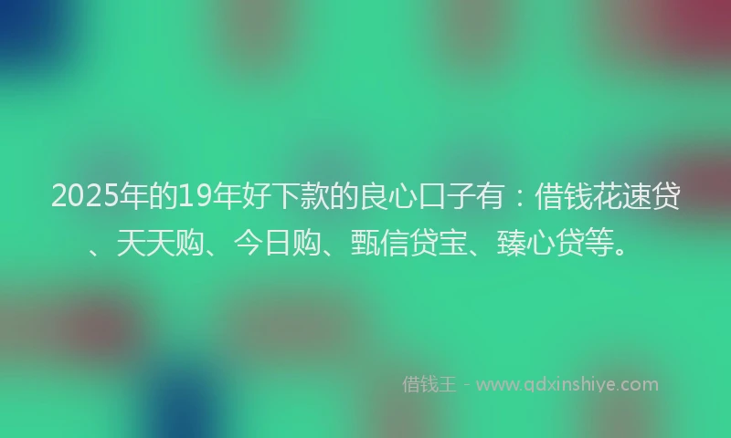 2025年的19年好下款的良心口子有：借钱花速贷、天天购、今日购、甄信贷宝、臻心贷等。