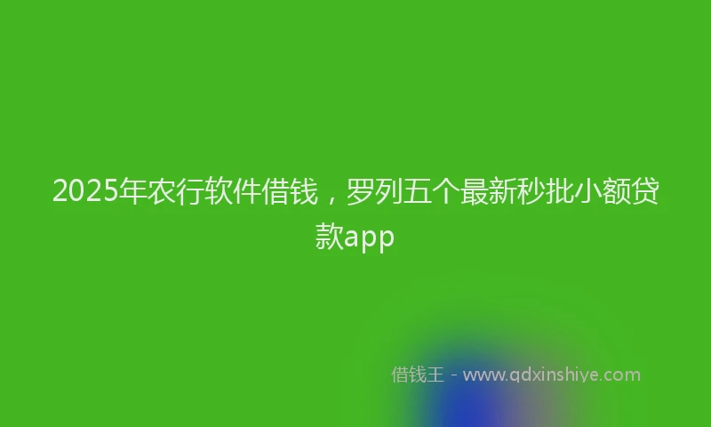 2025年农行软件借钱，罗列五个最新秒批小额贷款app