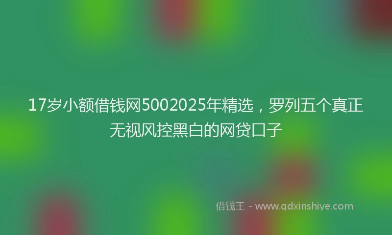 17岁小额借钱网5002025年精选，罗列五个真正无视风控黑白的网贷口子