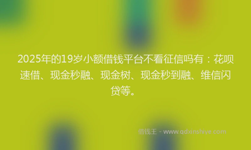 2025年的19岁小额借钱平台不看征信吗有：花呗速借、现金秒融、现金树、现金秒到融、维信闪贷等。