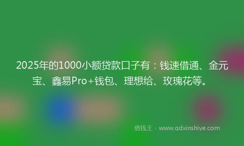 2025年的1000小额贷款口子有：钱速借通、金元宝、鑫易Pro+钱包、理想给、玫瑰花等。