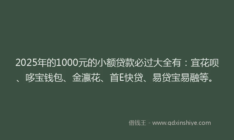 2025年的1000元的小额贷款必过大全有：宜花呗、哆宝钱包、金瀛花、首E快贷、易贷宝易融等。