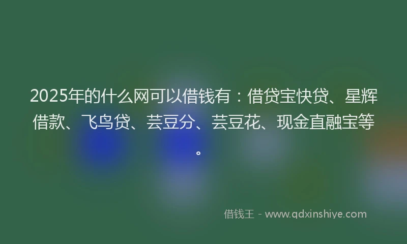 2025年的什么网可以借钱有：借贷宝快贷、星辉借款、飞鸟贷、芸豆分、芸豆花、现金直融宝等。