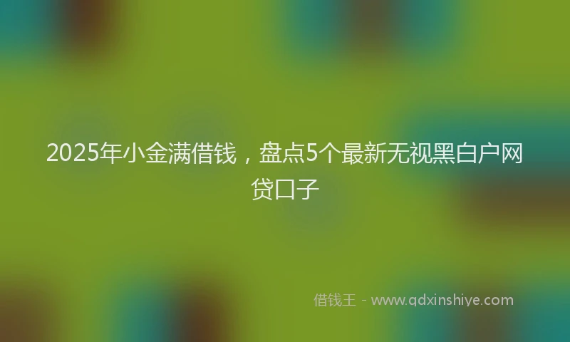 2025年小金满借钱，盘点5个最新无视黑白户网贷口子