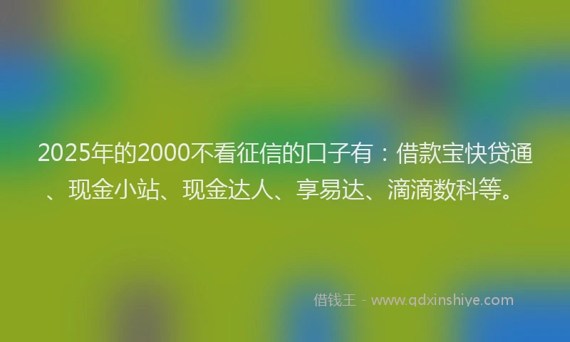 2025年的2000不看征信的口子有：借款宝快贷通、现金小站、现金达人、享易达、滴滴数科等。