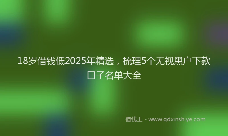 18岁借钱低2025年精选，梳理5个无视黑户下款口子名单大全