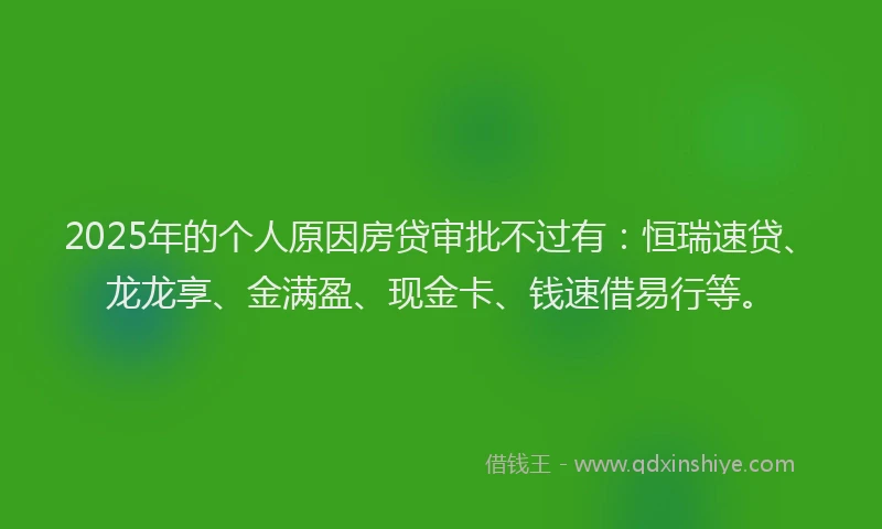 2025年的个人原因房贷审批不过有：恒瑞速贷、龙龙享、金满盈、现金卡、钱速借易行等。