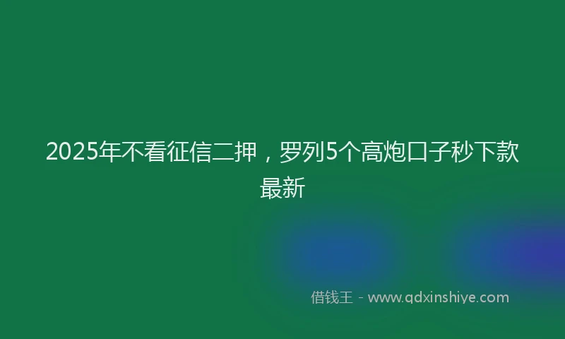 2025年不看征信二押，罗列5个高炮口子秒下款最新