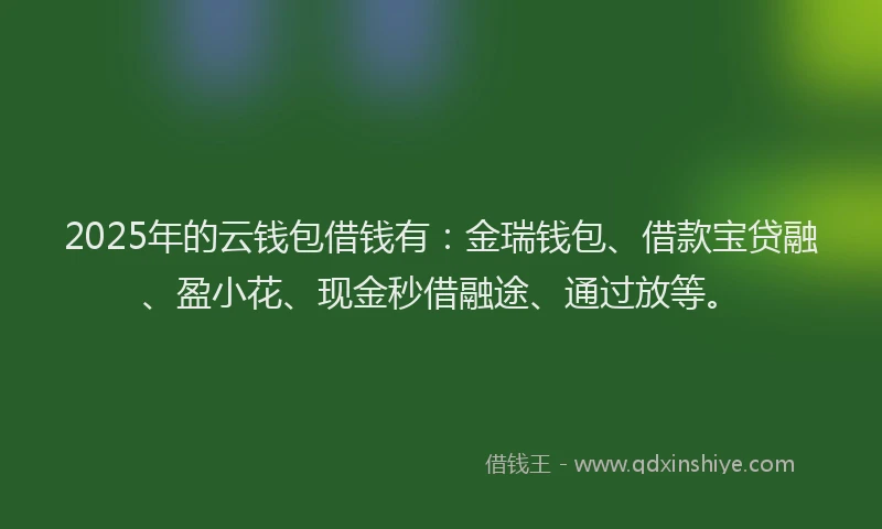 2025年的云钱包借钱有：金瑞钱包、借款宝贷融、盈小花、现金秒借融途、通过放等。