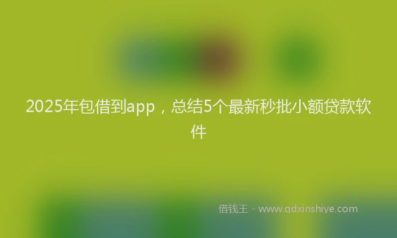 2025年包借到app，总结5个最新秒批小额贷款软件