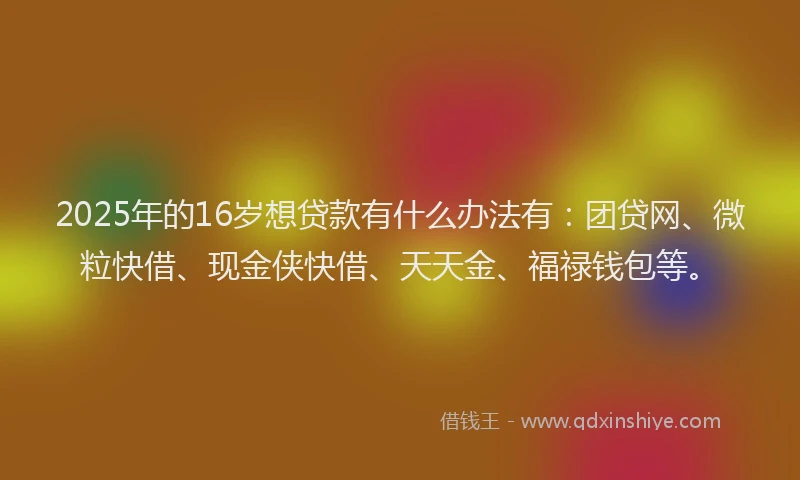 2025年的16岁想贷款有什么办法有：团贷网、微粒快借、现金侠快借、天天金、福禄钱包等。