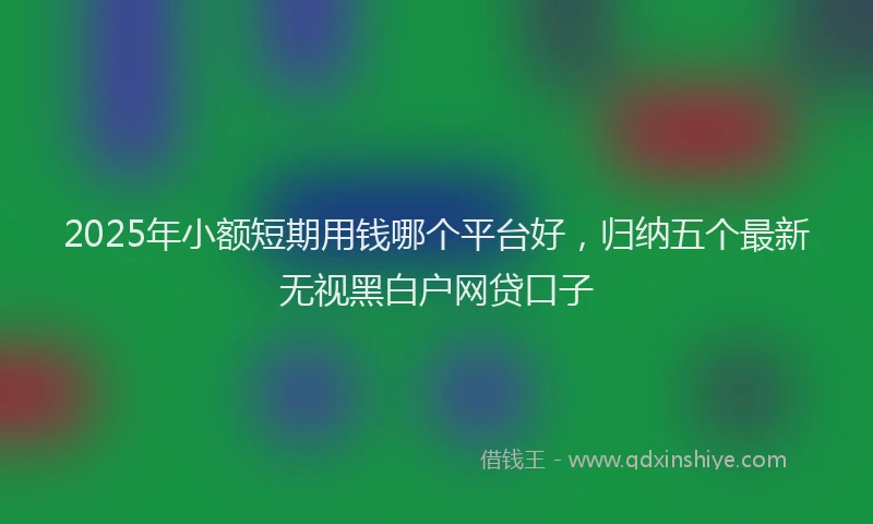 2025年小额短期用钱哪个平台好，归纳五个最新无视黑白户网贷口子