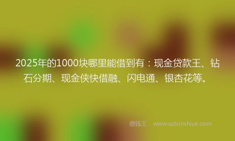 2025年的1000块哪里能借到有：现金贷款王、钻石分期、现金侠快借融、闪电通、银杏花等。
