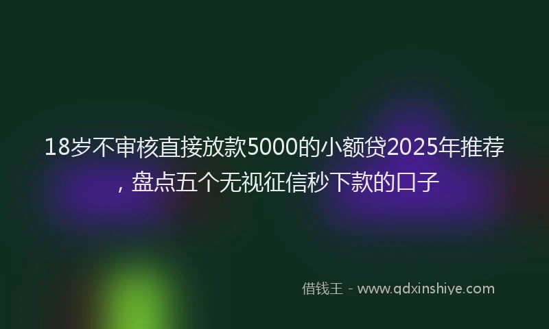 18岁不审核直接放款5000的小额贷2025年推荐，盘点五个无视征信秒下款的口子
