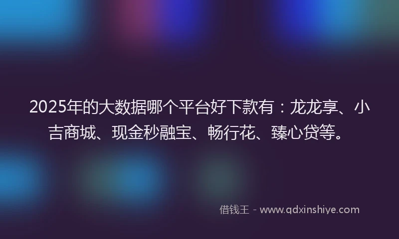 2025年的大数据哪个平台好下款有：龙龙享、小吉商城、现金秒融宝、畅行花、臻心贷等。