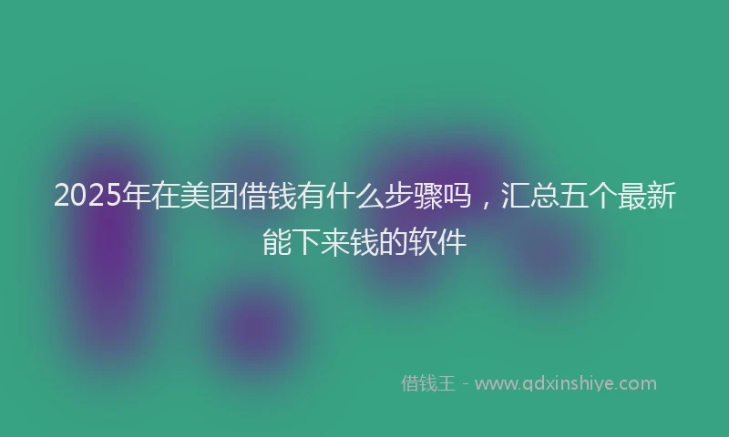 2025年在美团借钱有什么步骤吗，汇总五个最新能下来钱的软件