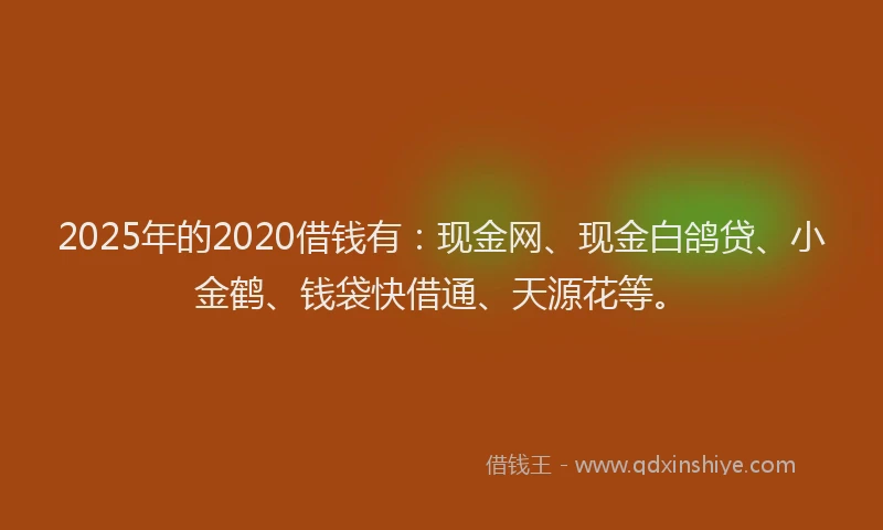 2025年的2020借钱有：现金网、现金白鸽贷、小金鹤、钱袋快借通、天源花等。