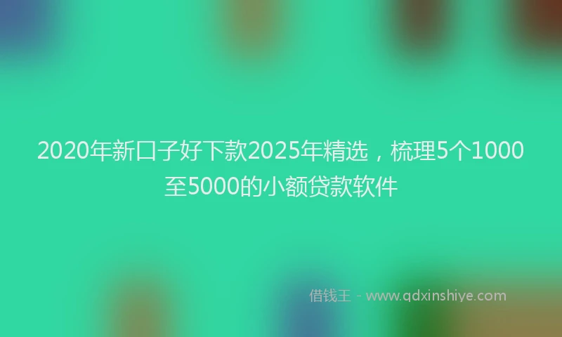 2020年新口子好下款2025年精选，梳理5个1000至5000的小额贷款软件