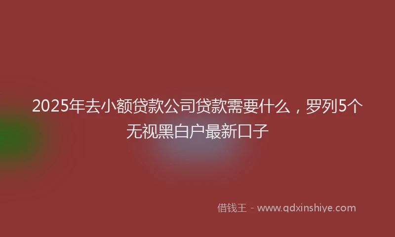 2025年去小额贷款公司贷款需要什么，罗列5个无视黑白户最新口子