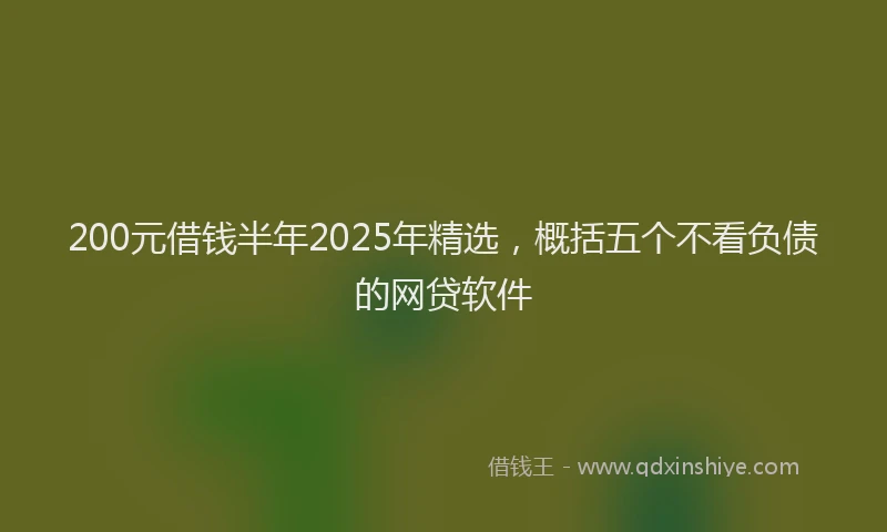 200元借钱半年2025年精选，概括五个不看负债的网贷软件