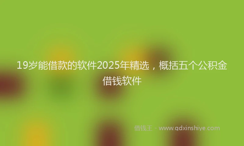 19岁能借款的软件2025年精选，概括五个公积金借钱软件
