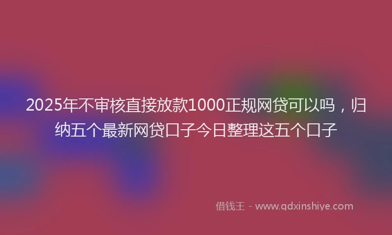 2025年不审核直接放款1000正规网贷可以吗，归纳五个最新网贷口子今日整理这五个口子