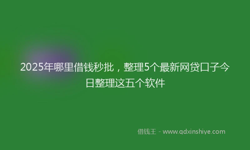 2025年哪里借钱秒批，整理5个最新网贷口子今日整理这五个软件
