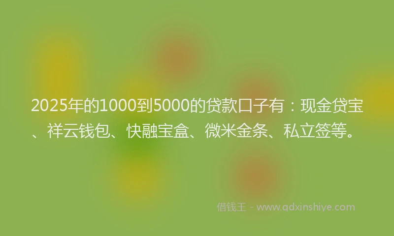 2025年的1000到5000的贷款口子有：现金贷宝、祥云钱包、快融宝盒、微米金条、私立签等。
