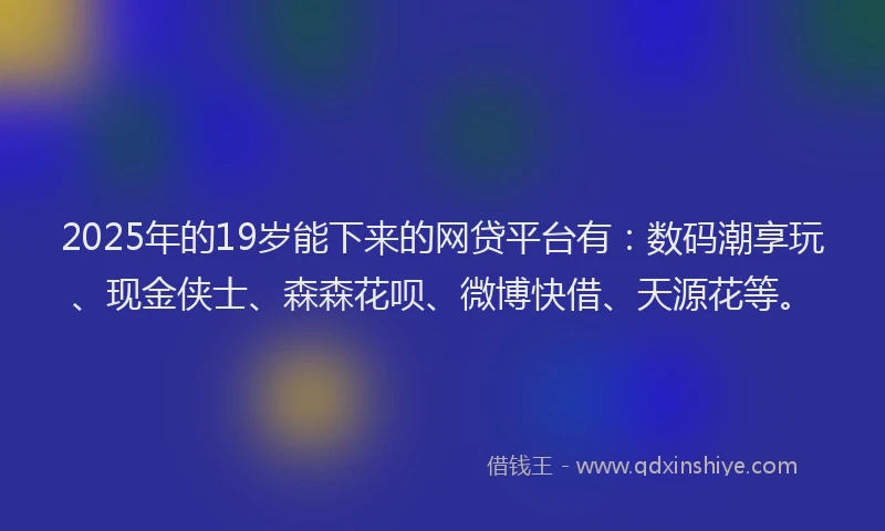 2025年的19岁能下来的网贷平台有：数码潮享玩、现金侠士、森森花呗、微博快借、天源花等。