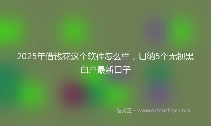 2025年借钱花这个软件怎么样，归纳5个无视黑白户最新口子