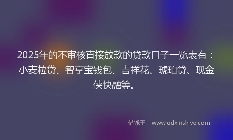 2025年的不审核直接放款的贷款口子一览表有：小麦粒贷、智享宝钱包、吉祥花、琥珀贷、现金侠快融等。