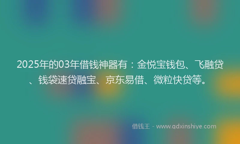 2025年的03年借钱神器有：金悦宝钱包、飞融贷、钱袋速贷融宝、京东易借、微粒快贷等。