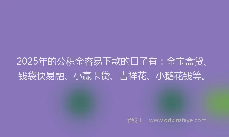 2025年的公积金容易下款的口子有：金宝盒贷、钱袋快易融、小赢卡贷、吉祥花、小鹅花钱等。