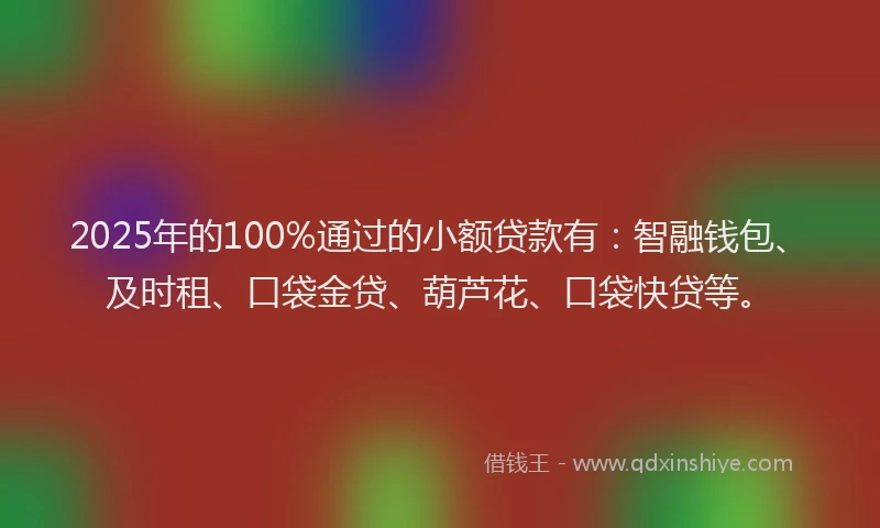 2025年的100%通过的小额贷款有：智融钱包、及时租、口袋金贷、葫芦花、口袋快贷等。