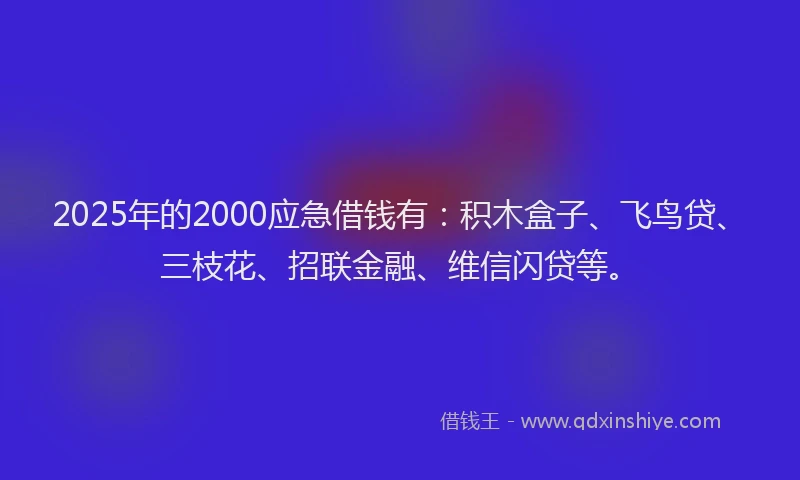 2025年的2000应急借钱有：积木盒子、飞鸟贷、三枝花、招联金融、维信闪贷等。