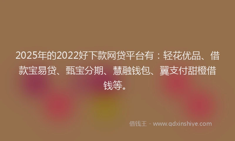 2025年的2022好下款网贷平台有：轻花优品、借款宝易贷、甄宝分期、慧融钱包、翼支付甜橙借钱等。