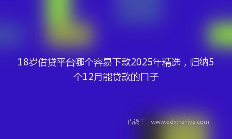 18岁借贷平台哪个容易下款2025年精选，归纳5个12月能贷款的口子