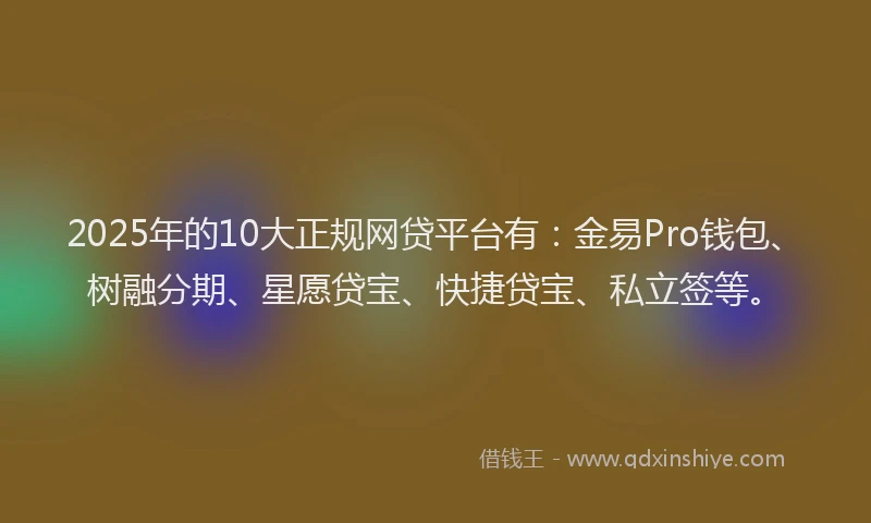 2025年的10大正规网贷平台有：金易Pro钱包、树融分期、星愿贷宝、快捷贷宝、私立签等。