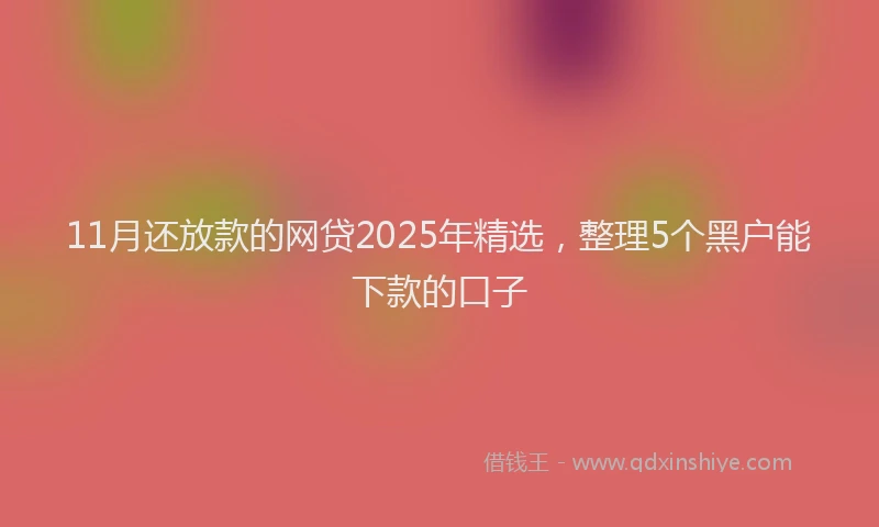 11月还放款的网贷2025年精选，整理5个黑户能下款的口子