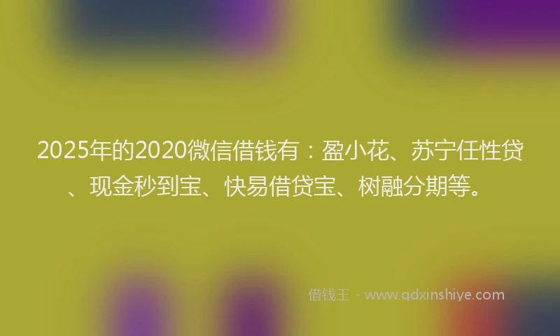 2025年的2020微信借钱有：盈小花、苏宁任性贷、现金秒到宝、快易借贷宝、树融分期等。