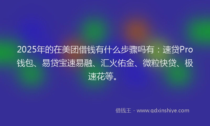 2025年的在美团借钱有什么步骤吗有：速贷Pro钱包、易贷宝速易融、汇火佑金、微粒快贷、极速花等。