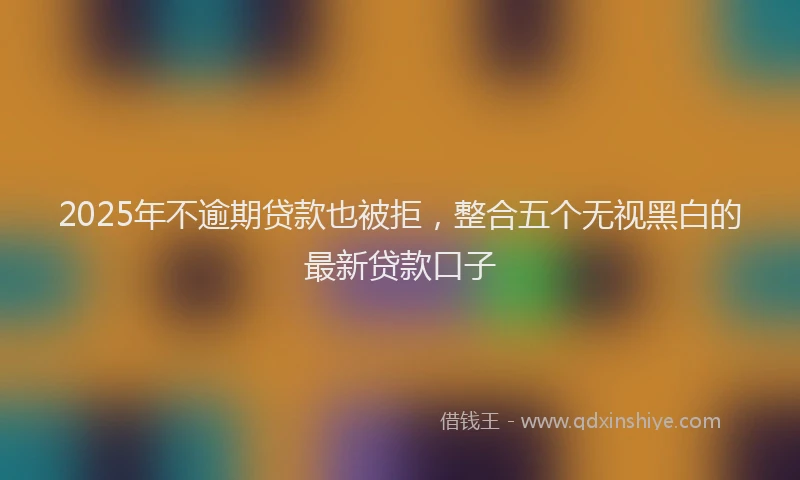 2025年不逾期贷款也被拒，整合五个无视黑白的最新贷款口子