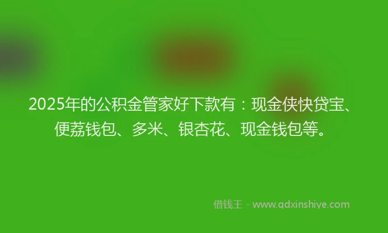 2025年的公积金管家好下款有：现金侠快贷宝、便荔钱包、多米、银杏花、现金钱包等。