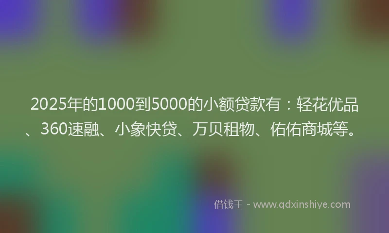 2025年的1000到5000的小额贷款有：轻花优品、360速融、小象快贷、万贝租物、佑佑商城等。
